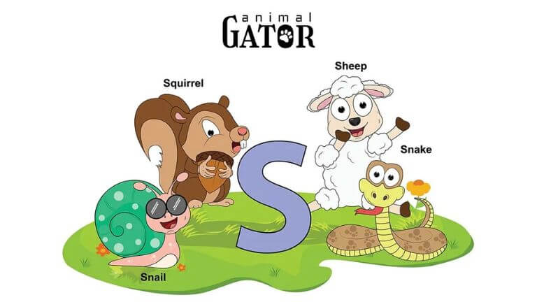 animals that start with s