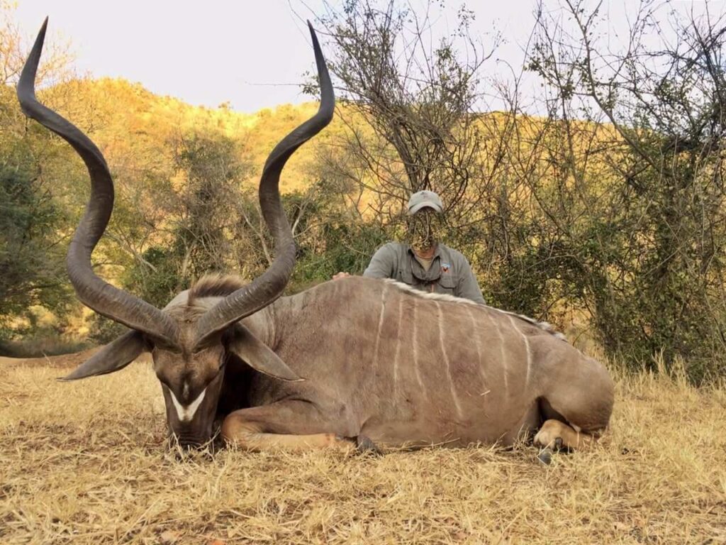 Kudu Behavior