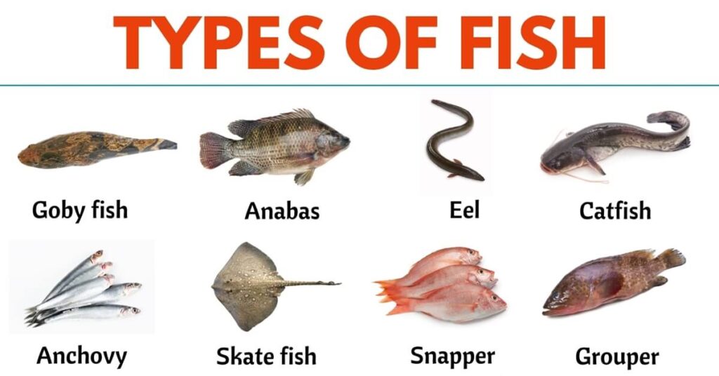 Cute Fish Names