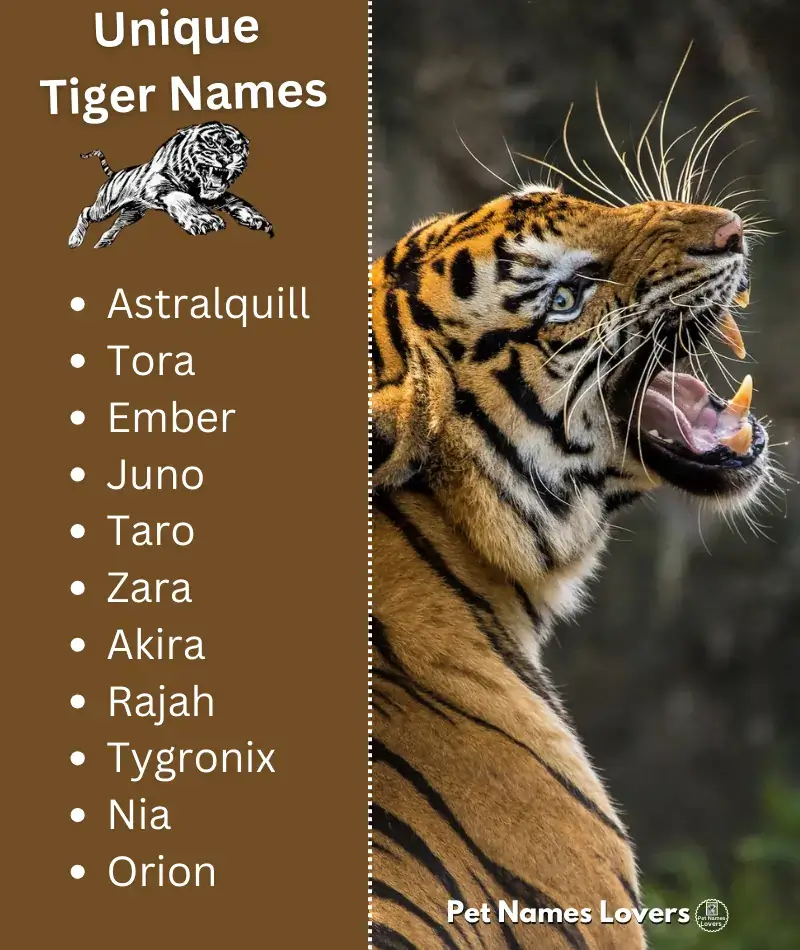 Male Tiger Names