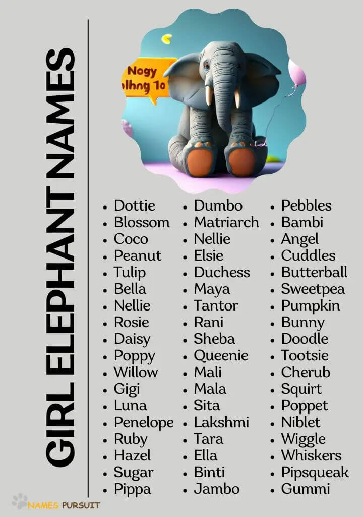 Popular Elephant Names Around the World