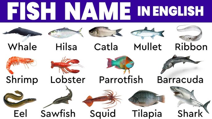 Popular Fish Names