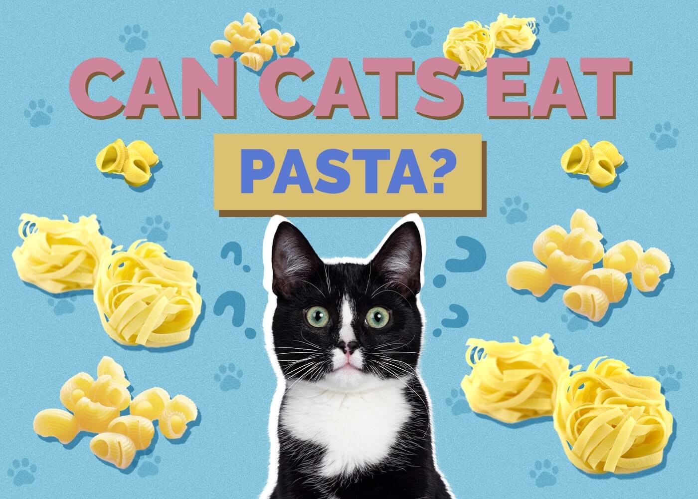 Can Cats Eat Alfredo Pasta
