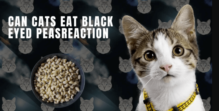 Can Cats Eat Black-Eyed Peas? A Comprehensive Guide to Feline Nutrition