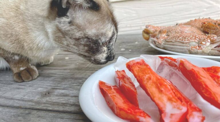 Can Cats Eat Crab Leg Meat? A Comprehensive Guide to Feline-Friendly Feeding