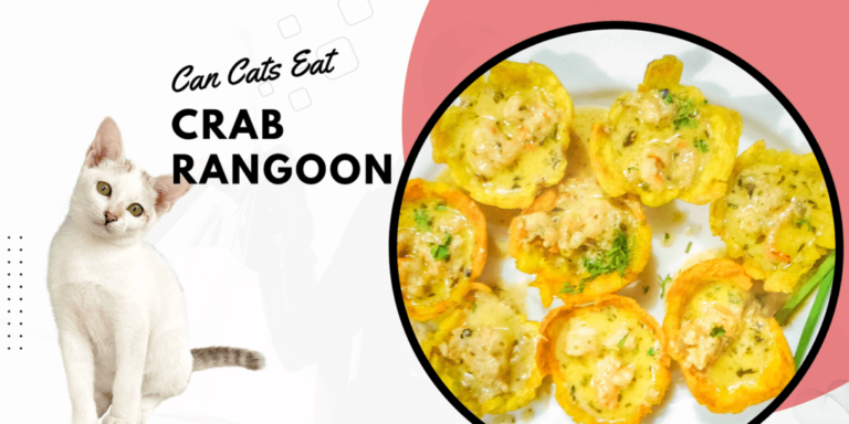 Can Cats Eat Crab Rangoon? A Comprehensive Guide to Feline Nutrition