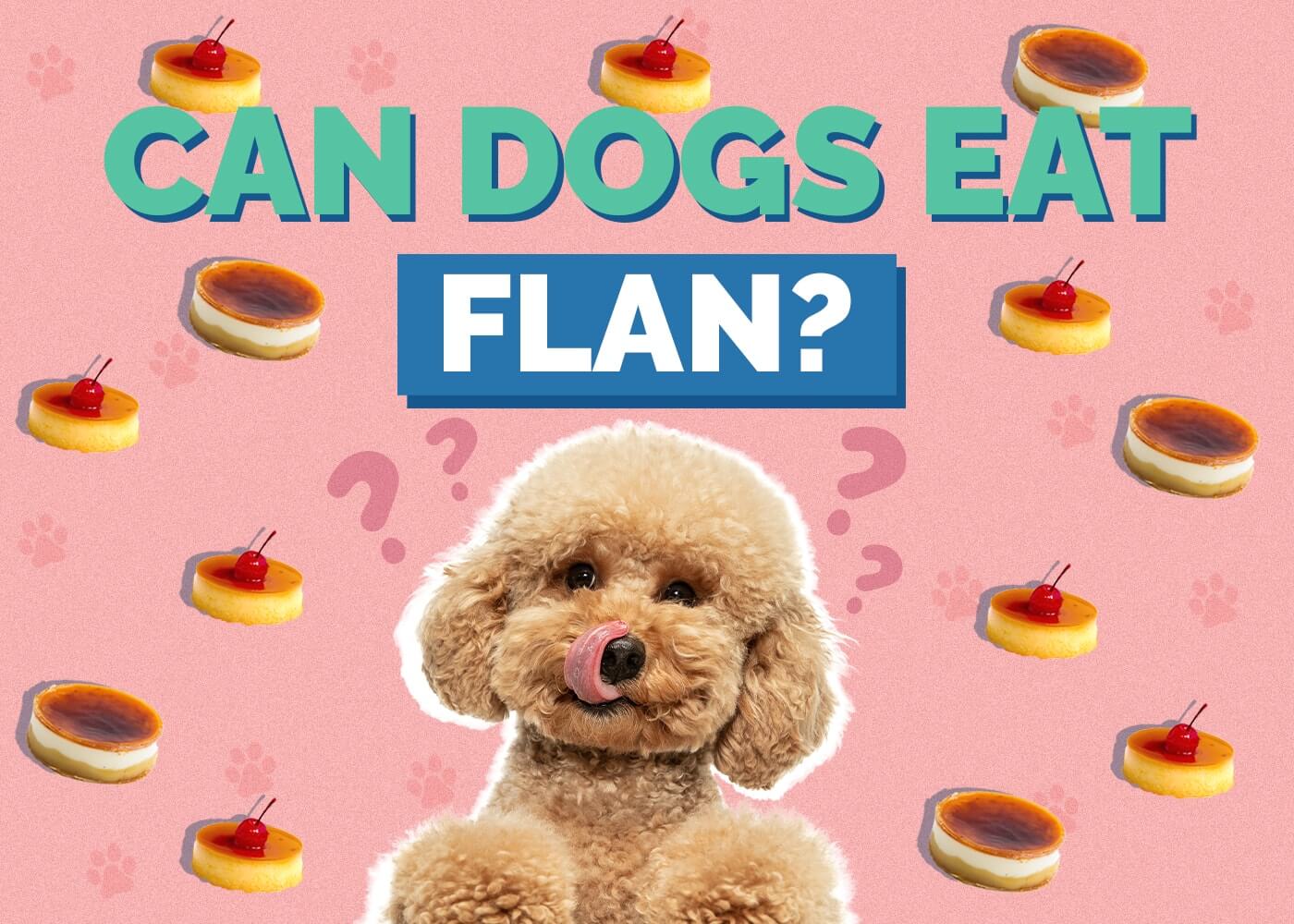 Can Cats Eat Flan?