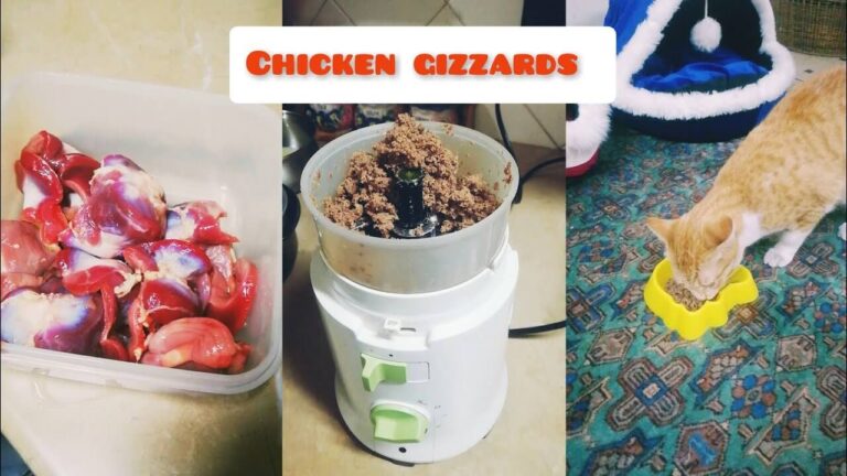 Can Cats Eat Gizzards? A Comprehensive Guide to Feline Nutrition