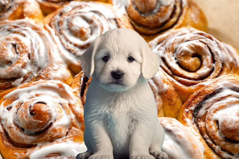 Can Dogs Eat Cinnamon Rolls? A Guide to Feline Companionship