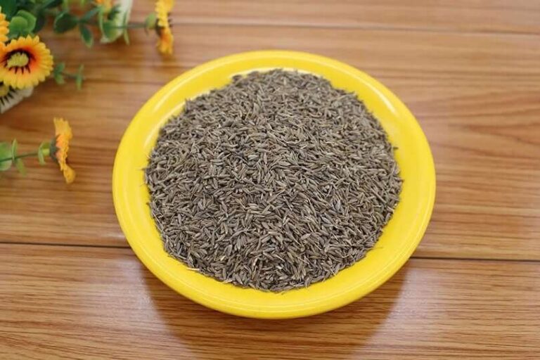 Can Cats and Dogs Eat Cumin? A Comprehensive Guide for Cat Owners