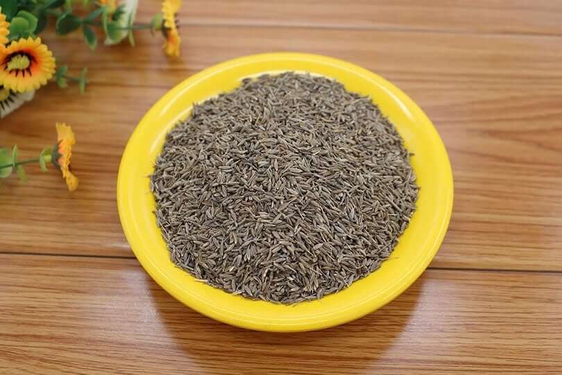 Can Cats and Dogs Eat Cumin