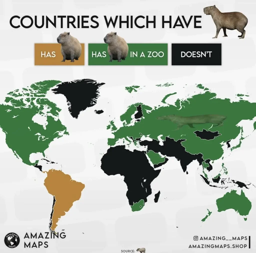 Which countries have capybara