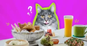 Can Cats Eat Human Food