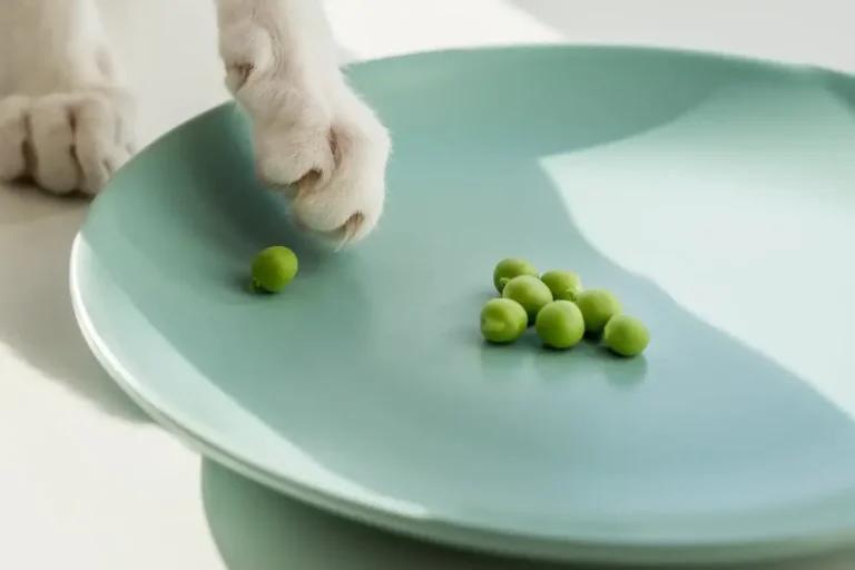 Can Cats Eat Peas? A Comprehensive Guide For Cat Owners