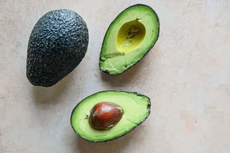 Can Cats Eat Avacado? A Comprehensive Guide For Cat Owners