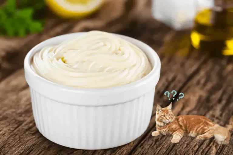 Can Cats Eat Mayo? A Comprehensive Guide For Cat Owners