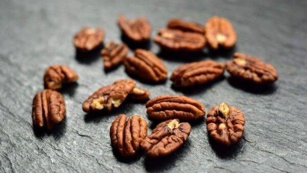 Can Cats Eat Pecans? Risks and Recommendations