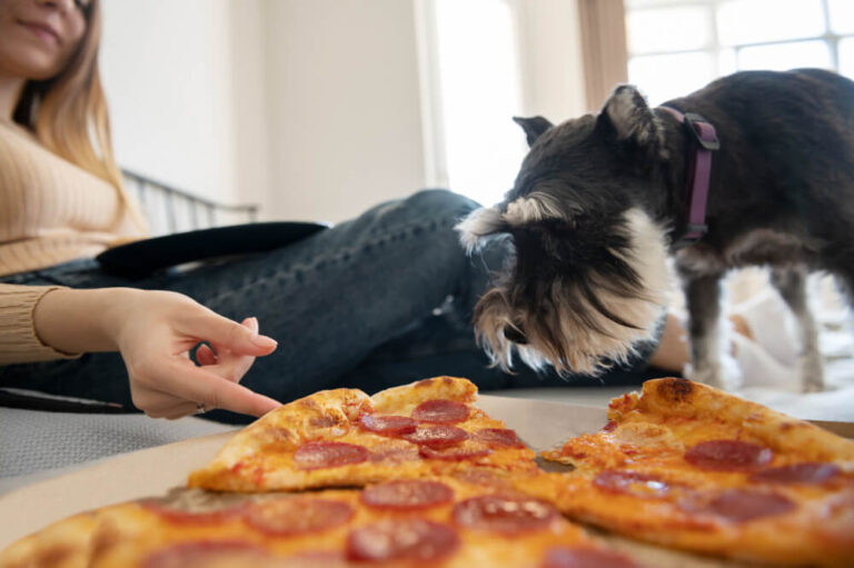 Can Dogs Eat Pepperoni? Risks, Benefits & Guidelines