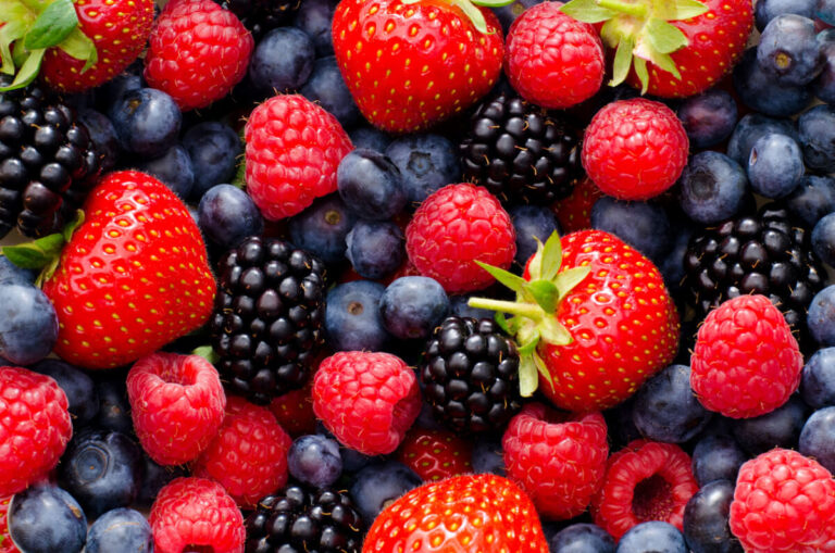 Can Cats Eat Berries? Safety Tips & Recommendations