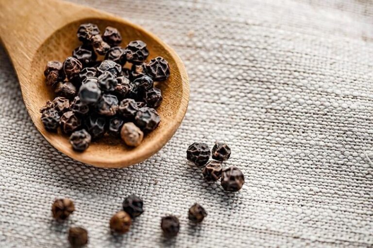 Can Cats Eat Black Pepper? Risks and Alternatives Explained