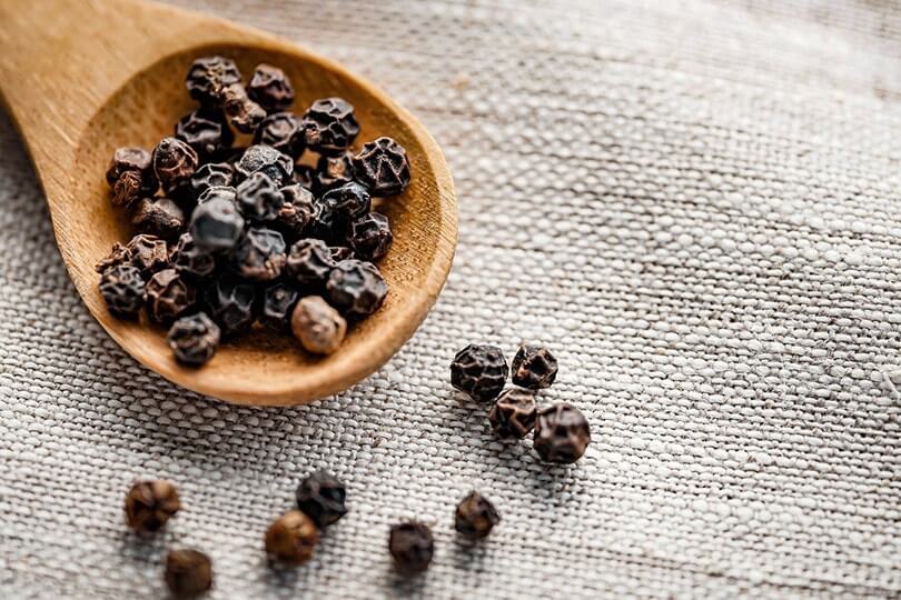 Can Cats Eat Black Pepper