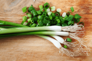 Can Cats Eat Green Onions