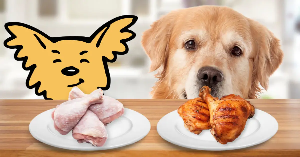 Can Dogs Eat Chicken Wings