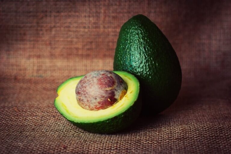 Avocado and Dogs: What You Need to Know