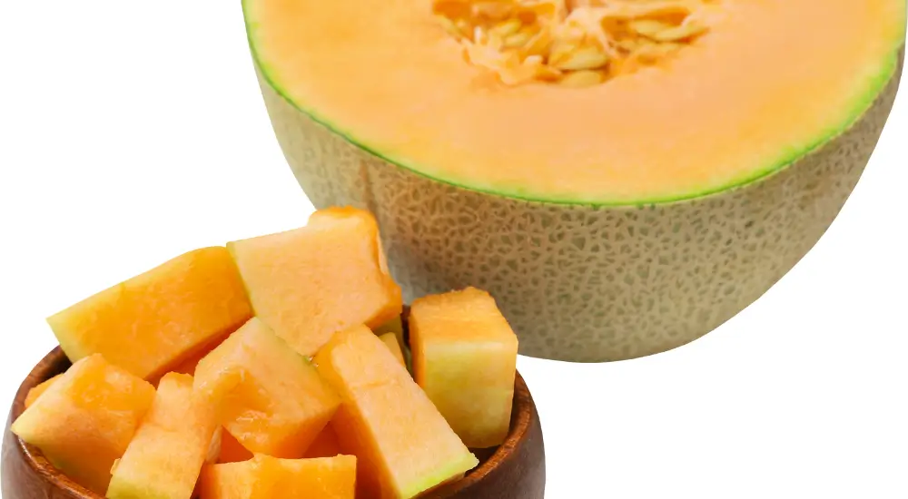 Can Dogs Eat Cantaloupe