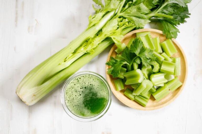 Can Dogs Chew Celery? Can Your Pup Munch on Celery?