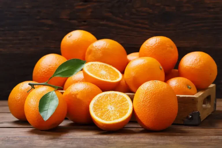 Oranges for Dogs: Nutritional Benefits and Risks