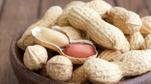 Can Dogs Eat Peanuts