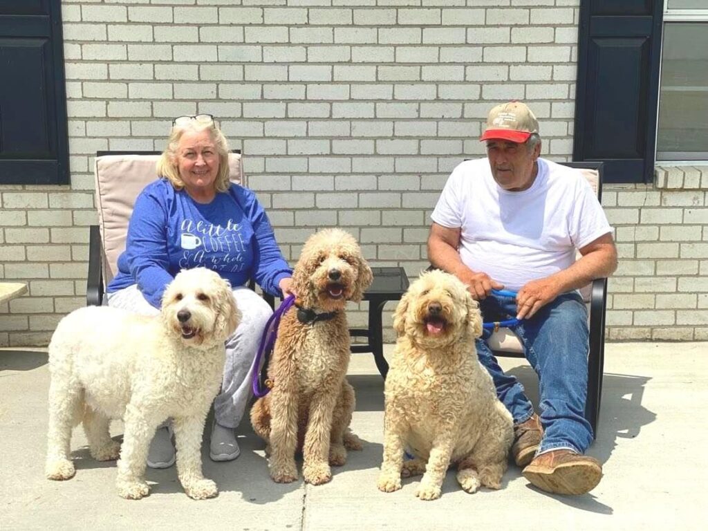 Finding Your Furry Friend: Goldendoodle Adoption Options