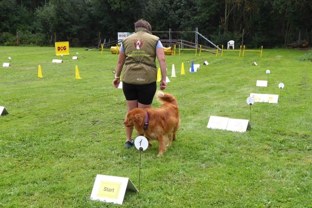 Rally Obedience dog sports