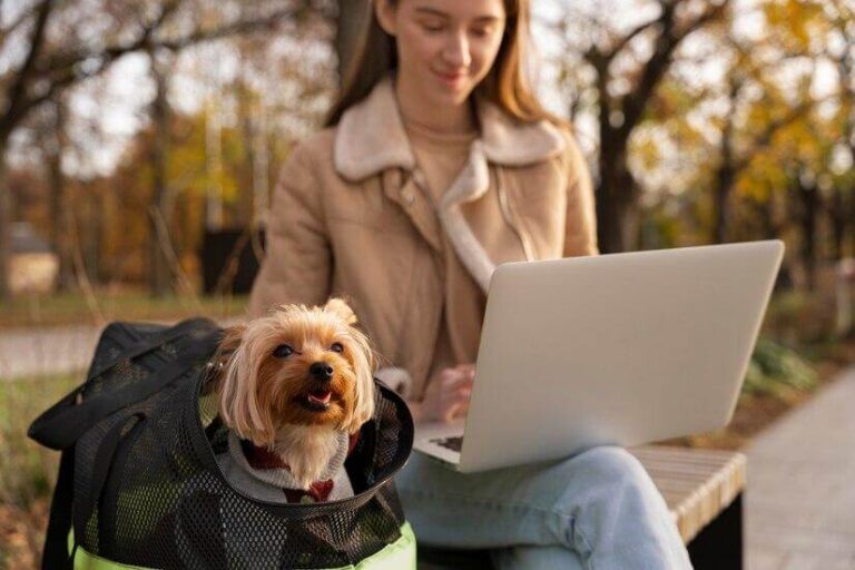Technology and its transformation process in Pet Traveling