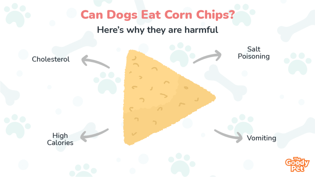 Can Cats Eat Corn Chips?