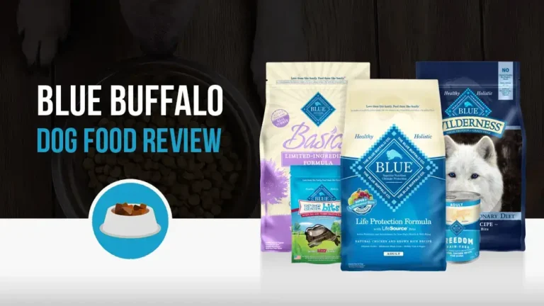 blue buffalo dog food