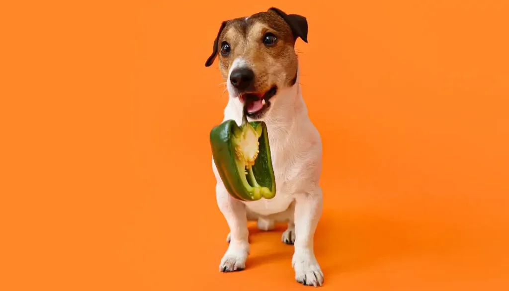 Is Peppers Safe for Dogs?