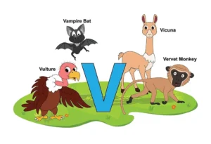 Animals that Start with V