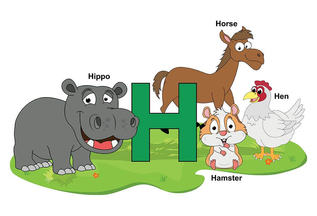 Animals That Start with H