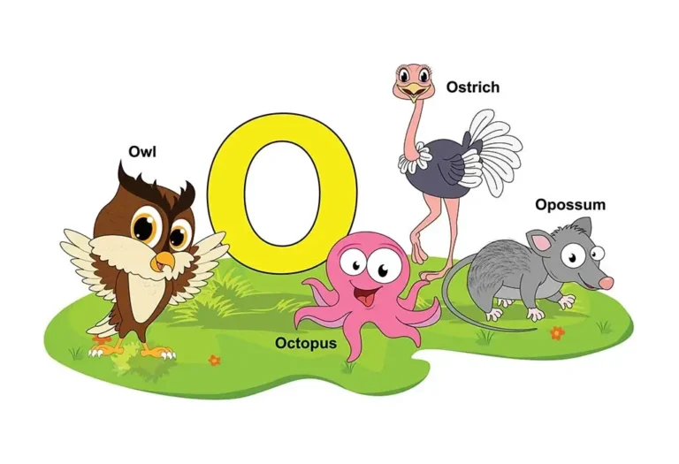 Animals That Start with O