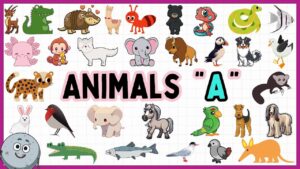 Animals that start with A