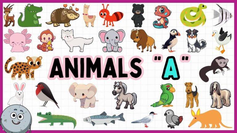 Animals that start with A