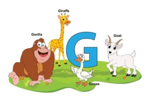 Animals that Start with G