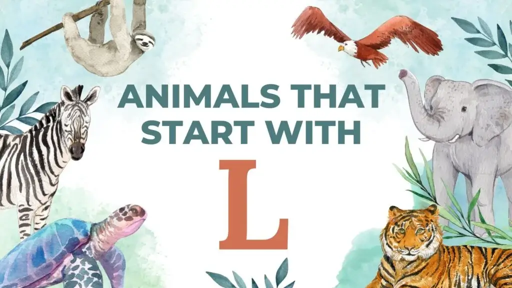 Animals That Start with L