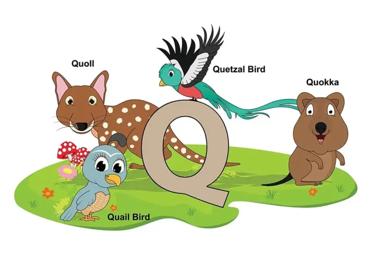 Animals that Start with Q