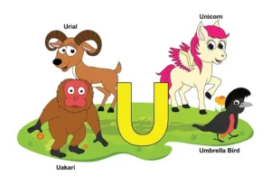 Animals that Start with U