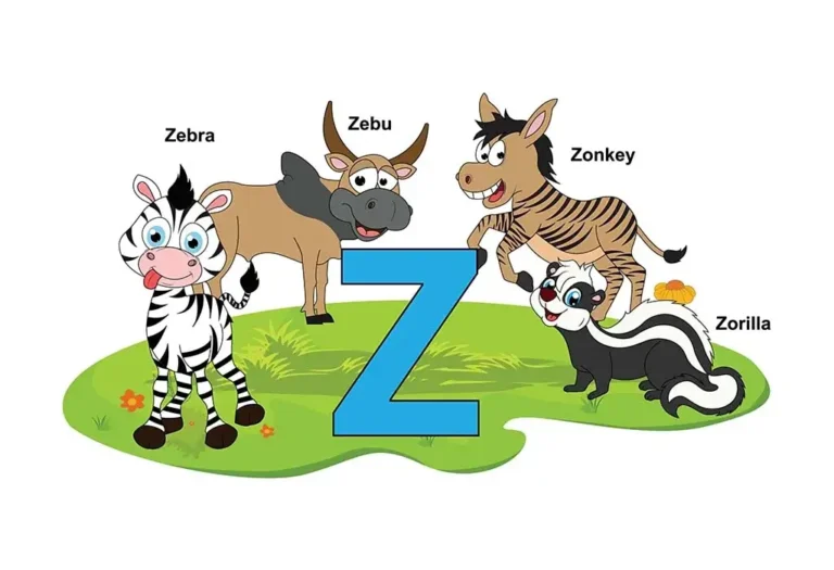 Animals that Start with Z