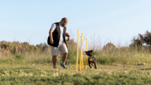 Myths About Private Dog Boarding Training