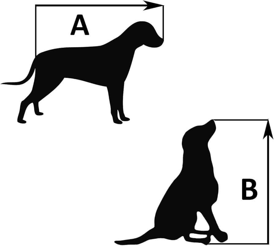 Features of Our Dog Size Estimator